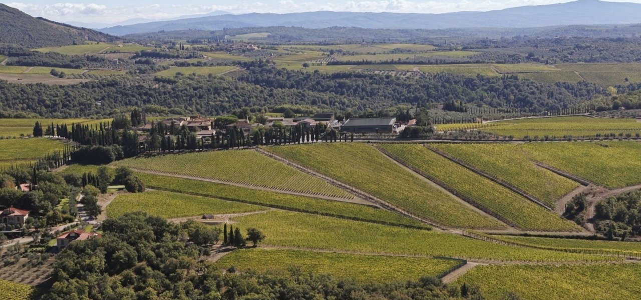 The San Felice hamlet surrounded by its vineyards